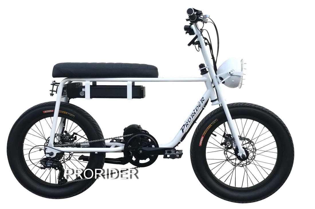 pro rider electric bike